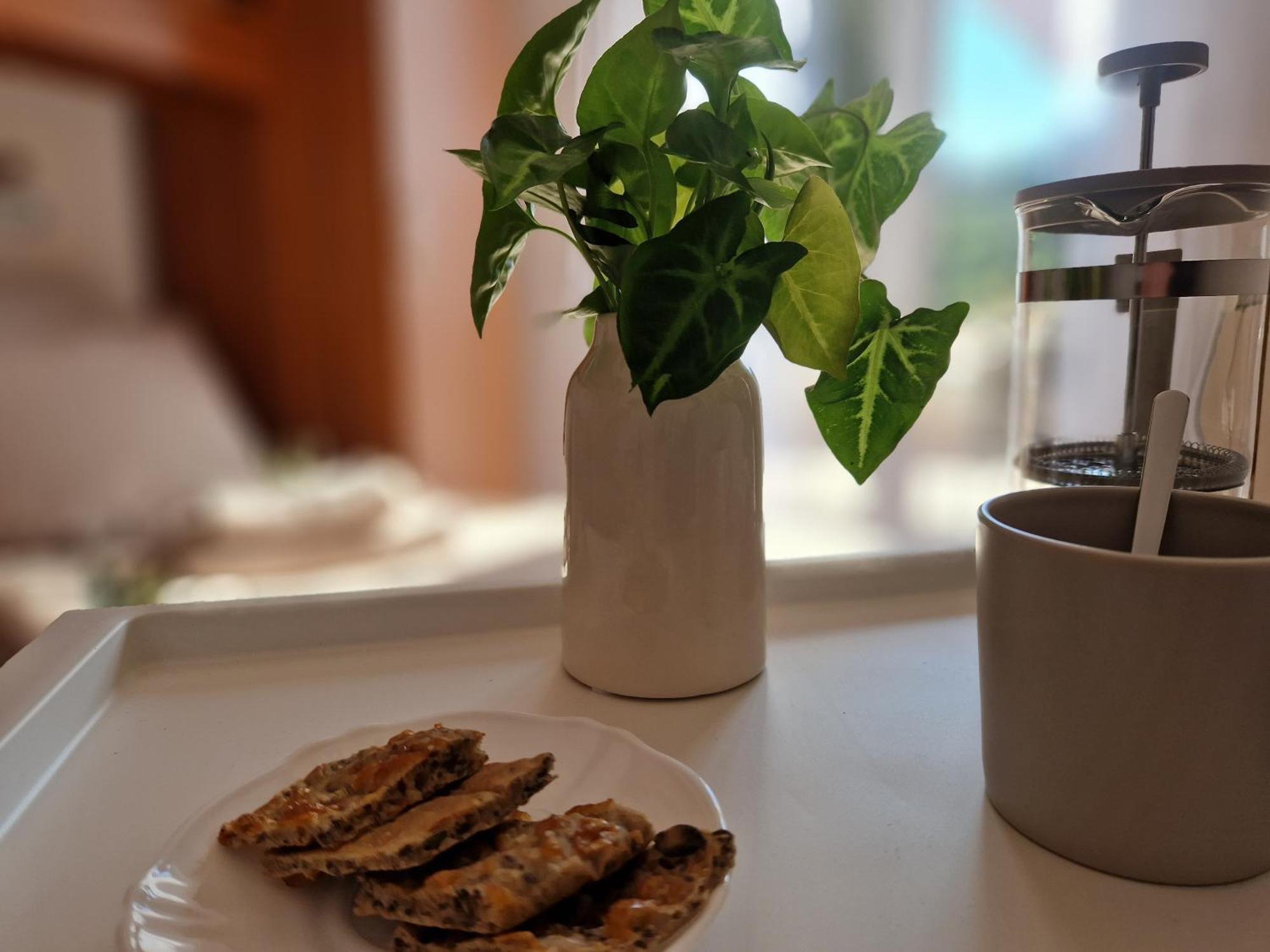 Appartamento House Olive Garden Strunjan Esterno foto