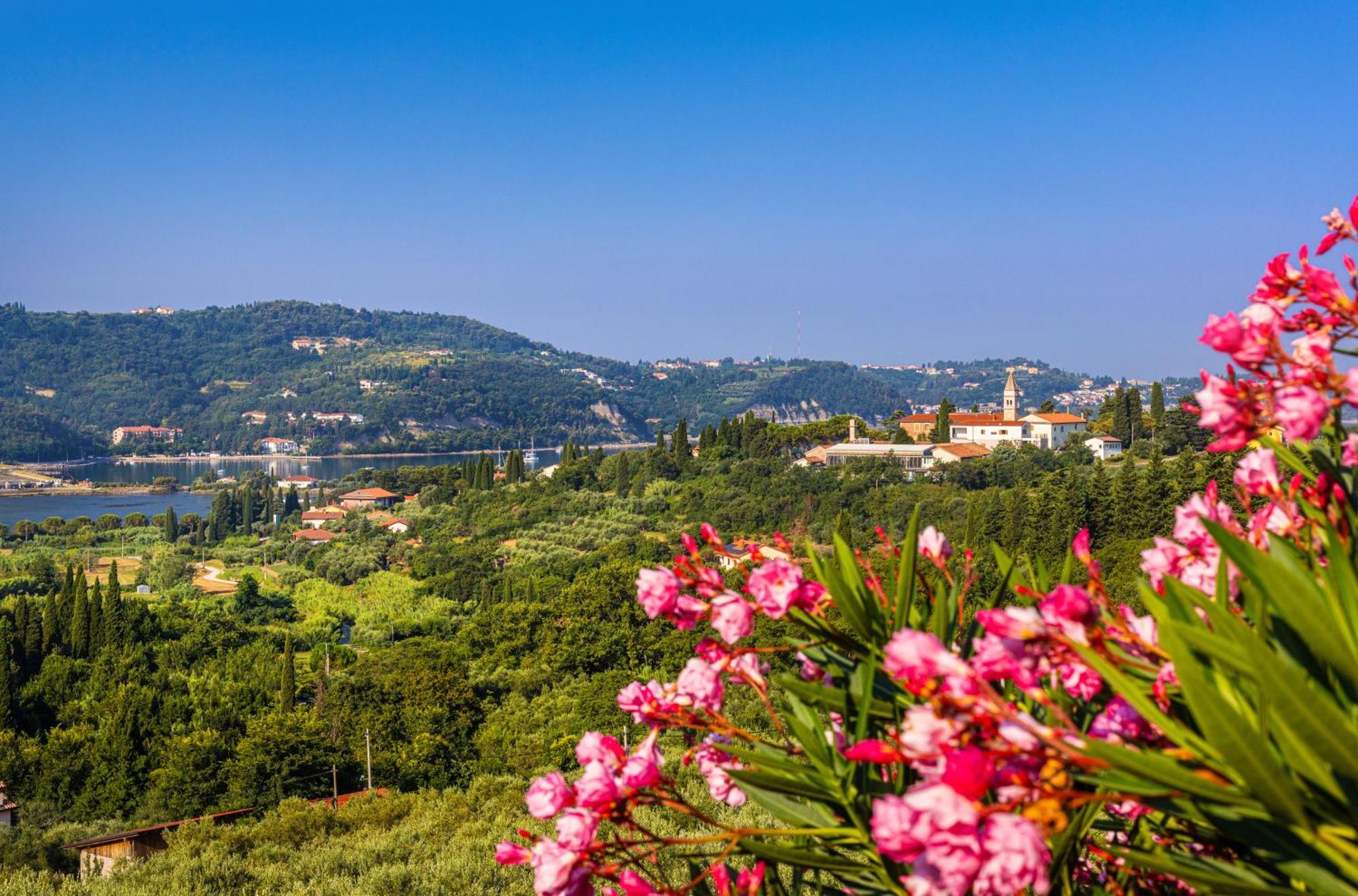 Appartamento House Olive Garden Strunjan Esterno foto